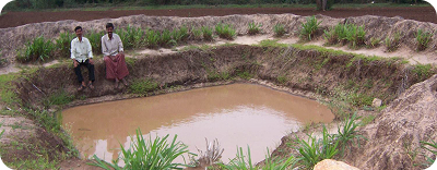 Water And Soil Conservation